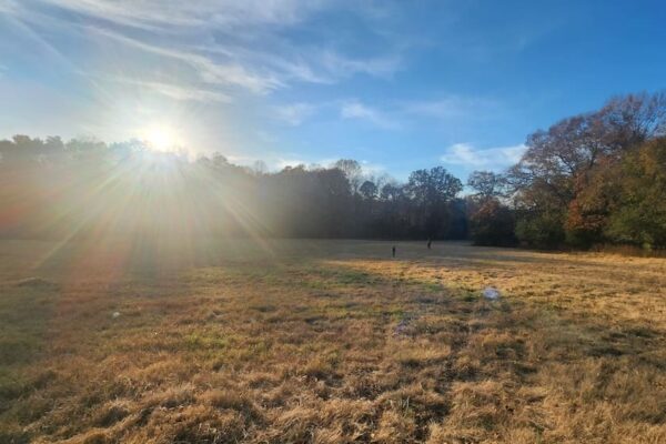 -1608994579244193718